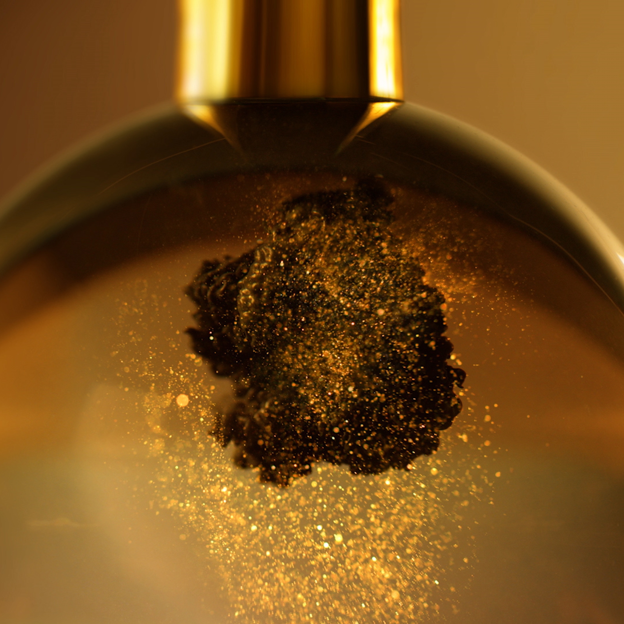 Création de landing page html - ANGELIQUE DAMOUR Design Studio - ESTEE LAUDER Re-Nutriv - illustration 5