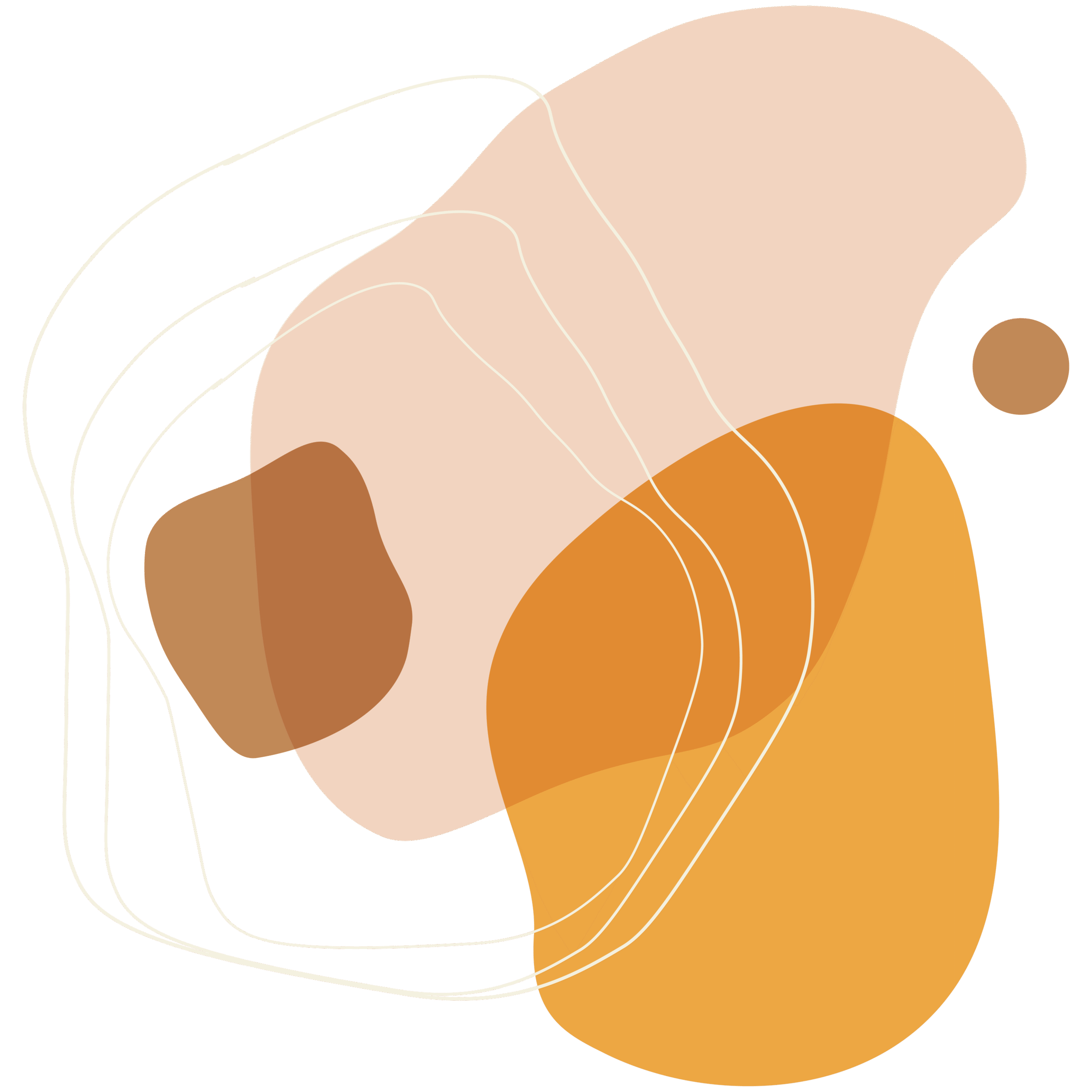 Création de site vitrine - ANGELIQUE DAMOUR Design Studio - Wynwood - illustration 3