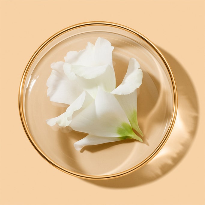 Création de landing page html - L'AGENCE Design Studio - Estée Lauder Revitalizing Supreme Plus - illustration 5
