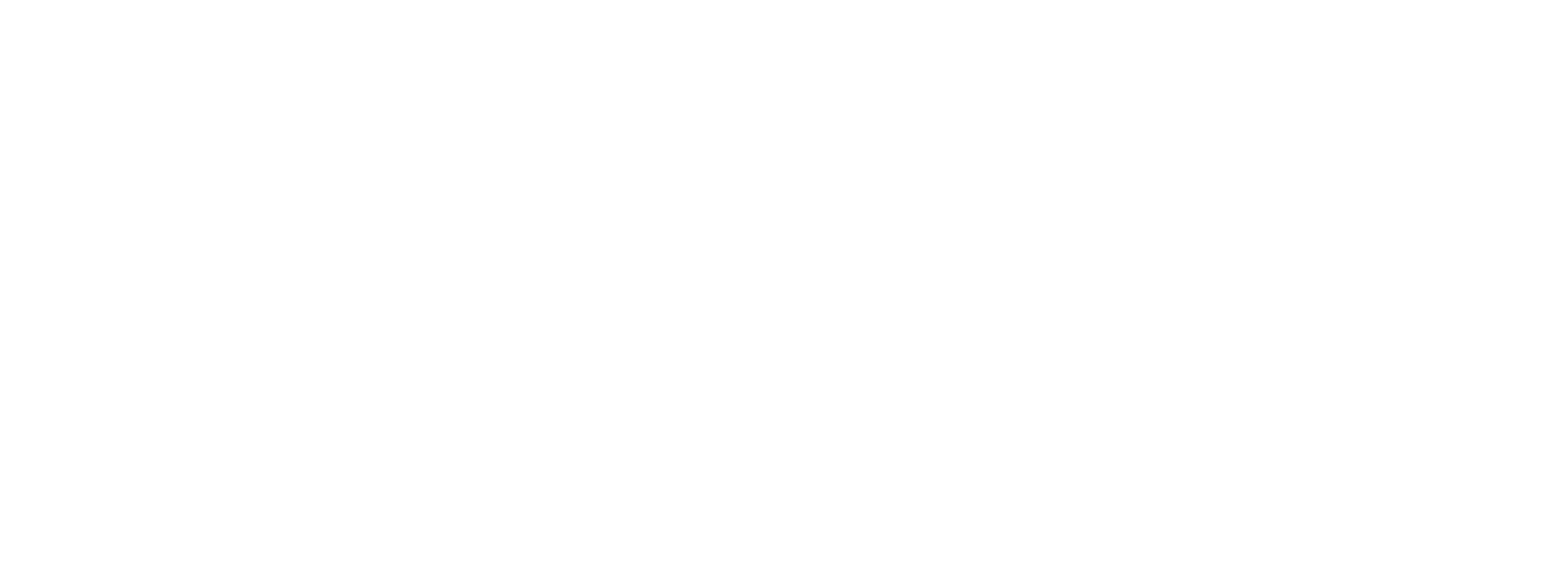 L'agence Design Studio - Logo blanc