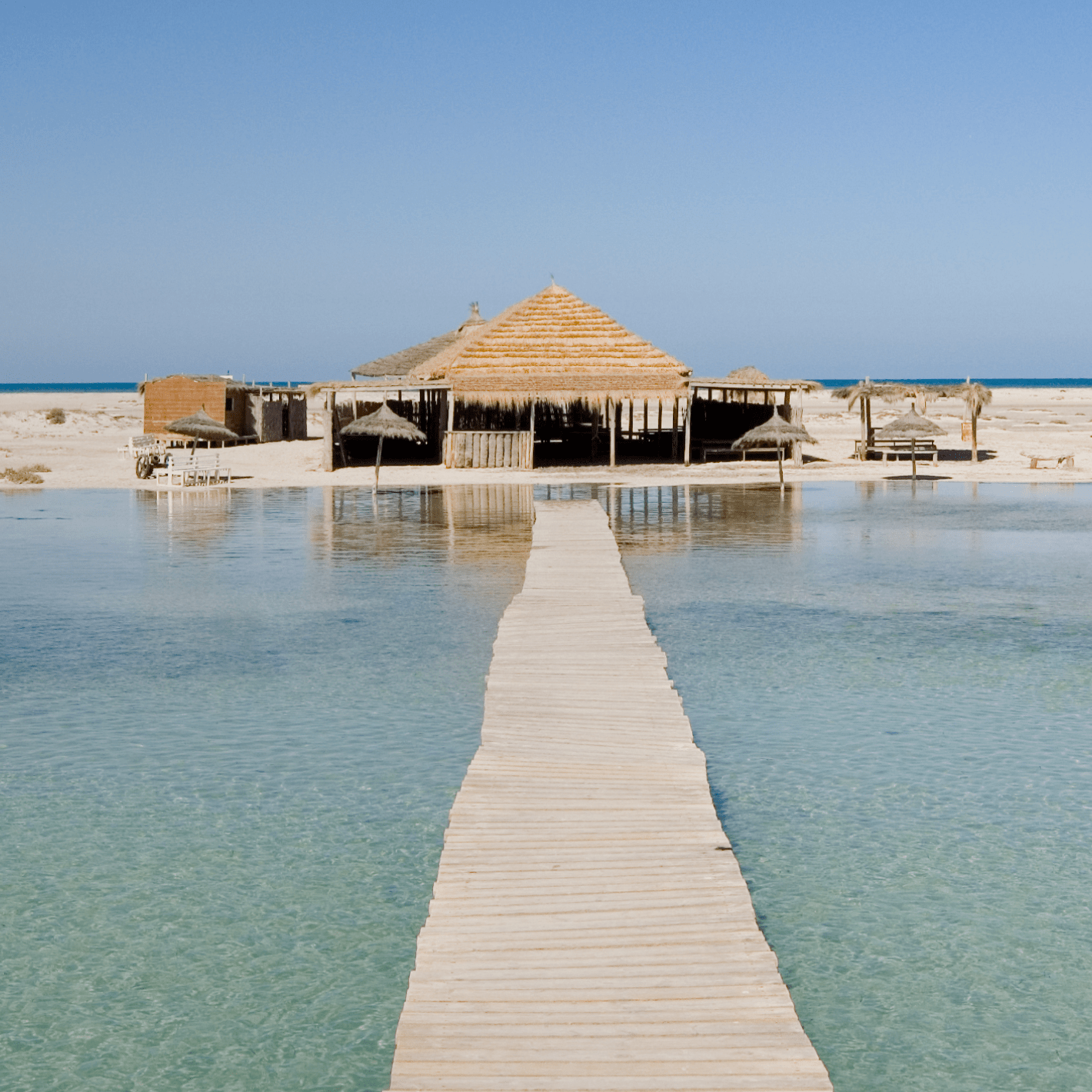 Création d'un site de réservation de voyage sportif avec woocommerce - ANGELIQUE DAMOUR Design Studio - SPORTBLUE - illustration 2