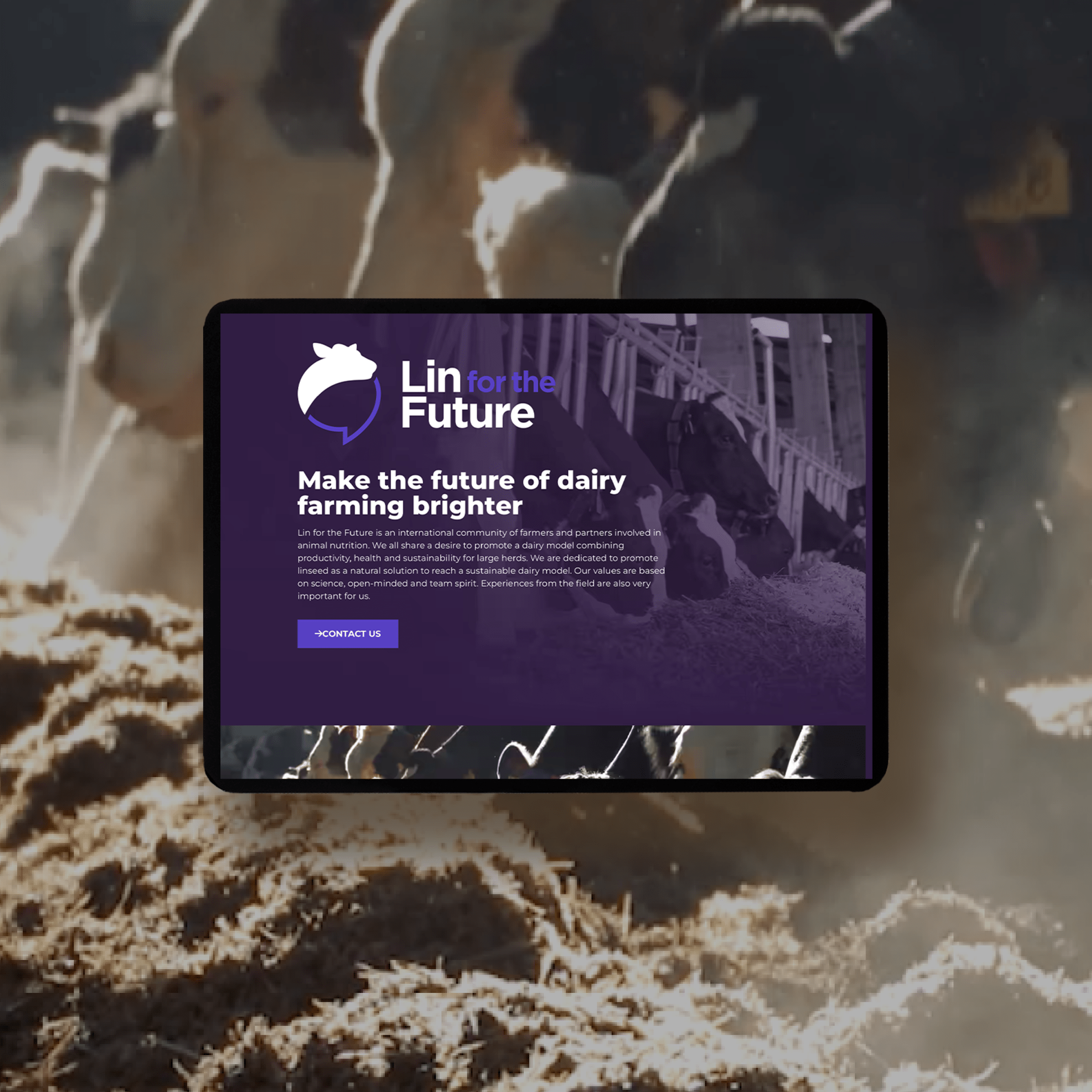 Web développement d'un site web vitrine - ANGELIQUE DAMOUR Design Studio - Lin for the future